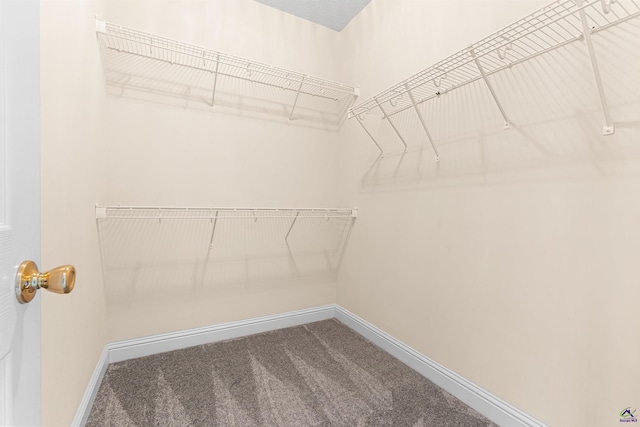 210 Vining Way, Byron, GA 31008 - spacious closet with carpet floors