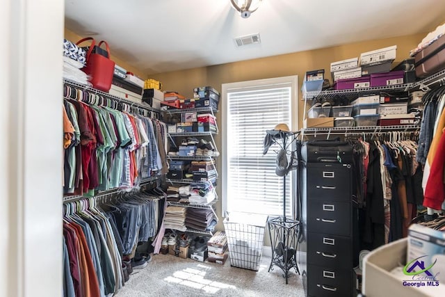 215 Wilson Creek Bnd, Bonaire, GA 31005 - view of spacious closet