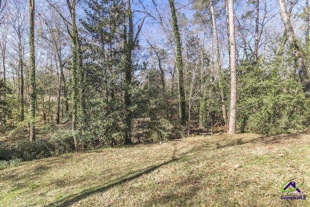 1035 S Pine Knoll Dr, Macon, GA 31204 - view of woods