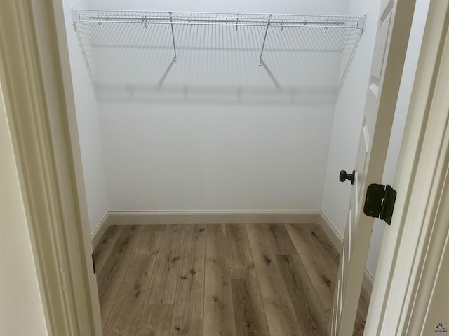 86 Camden Way, Hawkinsville, GA 31036 - spacious closet with light wood finished floors
