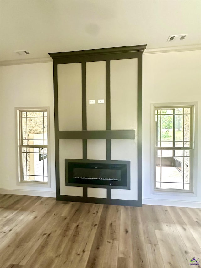 86 Camden Way, Hawkinsville, GA 31036 - entryway with ornamental molding, a glass covered fireplace, wood finished floors, and baseboards
