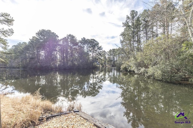 171 N Valhalla Dr, Cordele, GA 31015 - water view with a heavily wooded area