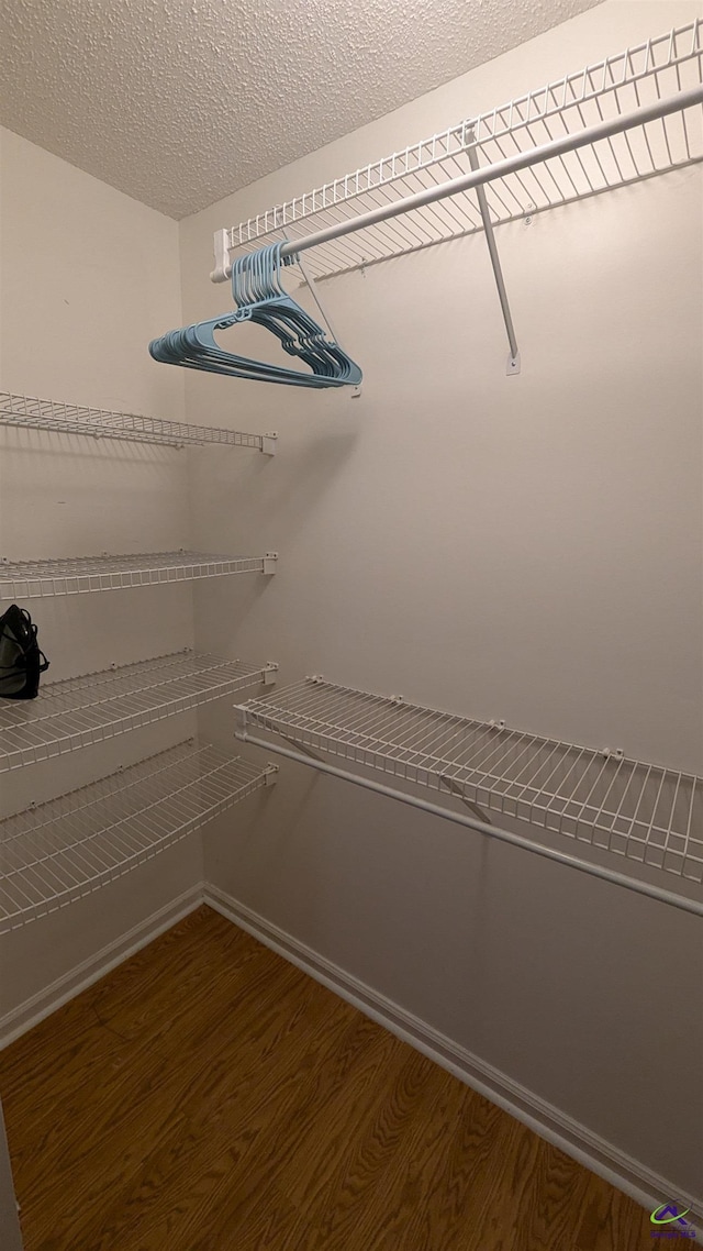 107 Whitney Ct, Warner Robins, GA 31088 - spacious closet with wood finished floors
