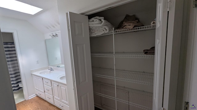 107 Whitney Ct, Warner Robins, GA 31088 - full bath with a skylight, vaulted ceiling, double vanity, and wood finished floors