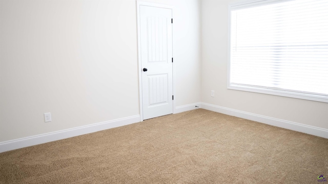 303 Garnet Dr, Bonaire, GA 31005 - unfurnished room with light colored carpet and baseboards