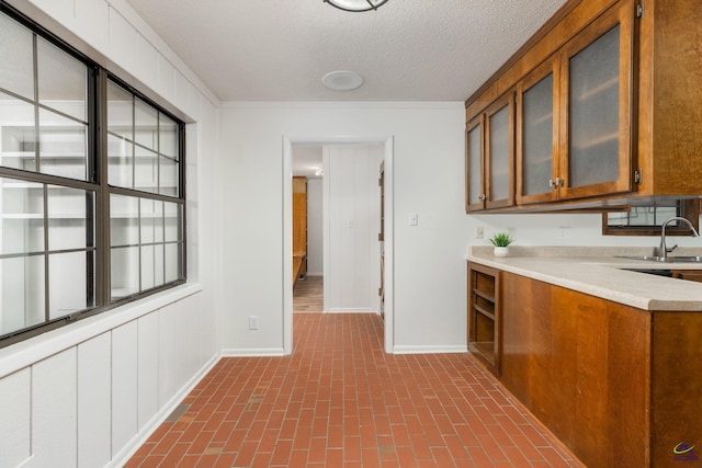 207 Oak Forest Ln, Warner Robins, GA 31088 - corridor featuring a sink, baseboards, brick patterned flooring, and a textured ceiling
