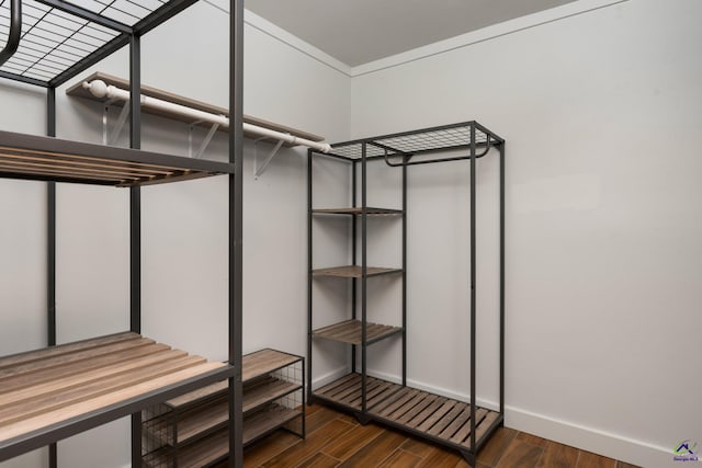 207 Oak Forest Ln, Warner Robins, GA 31088 - walk in closet with wood finished floors