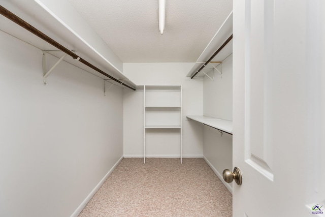 207 Oak Forest Ln, Warner Robins, GA 31088 - walk in closet with light carpet and built in study area