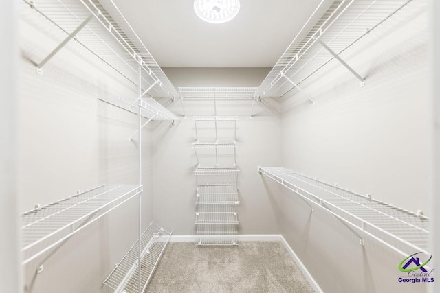 4407 Jones Rds, Macon, GA 31216 - walk in closet with carpet flooring