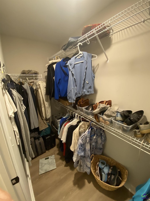 51 Cole Dr, Hawkinsville, GA 31036 - walk in closet featuring wood finished floors
