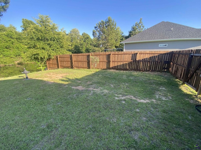 51 Cole Dr, Hawkinsville, GA 31036 - view of yard
