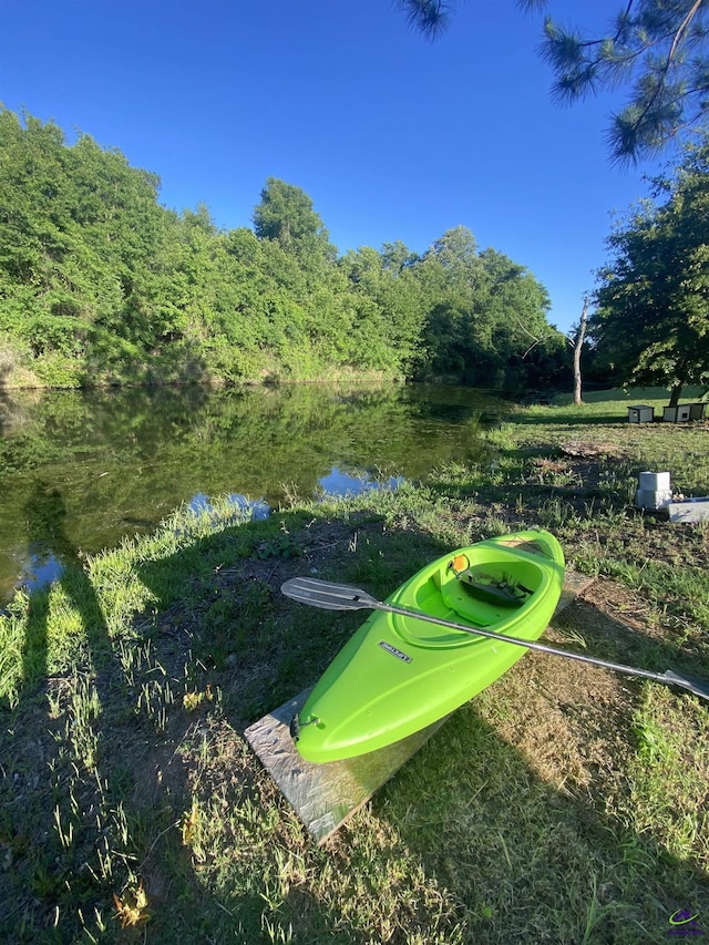 51 Cole Dr, Hawkinsville, GA 31036 - view of property's community featuring a water view