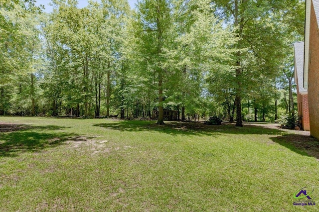 283 Limestone Rd, Cochran, GA 31014 - view of grassy yard