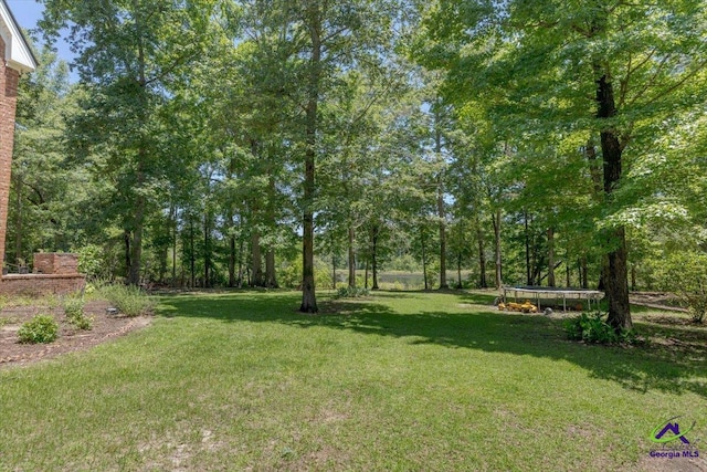 283 Limestone Rd, Cochran, GA 31014 - view of grassy yard with a trampoline