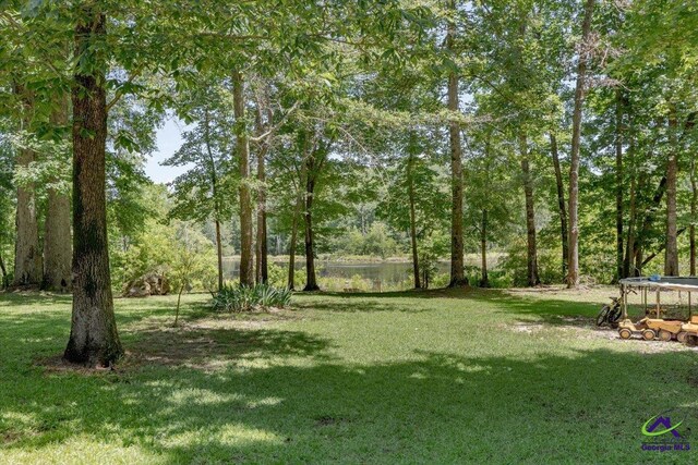 283 Limestone Rd, Cochran, GA 31014 - view of green lawn with a trampoline and a wooded view
