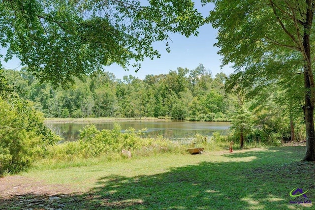 283 Limestone Rd, Cochran, GA 31014 - view of yard with a water view and a wooded view