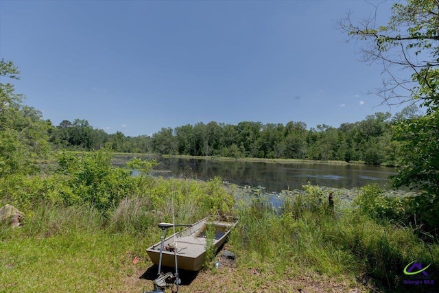 283 Limestone Rd, Cochran, GA 31014 - view of yard with a view of trees and a water view