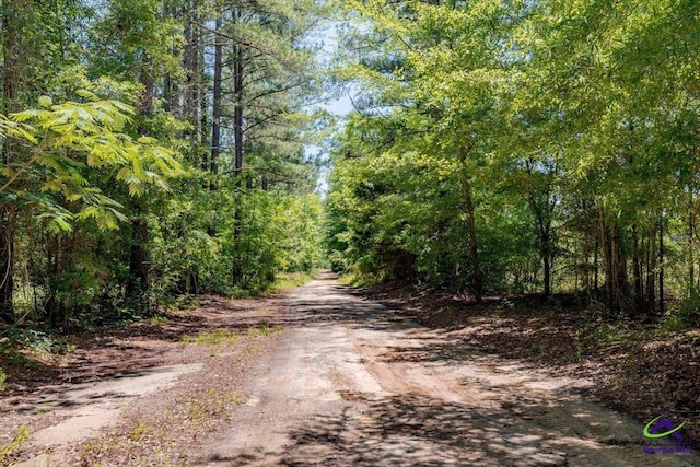 283 Limestone Rd, Cochran, GA 31014 - view of dirt / gravel road featuring a wooded view