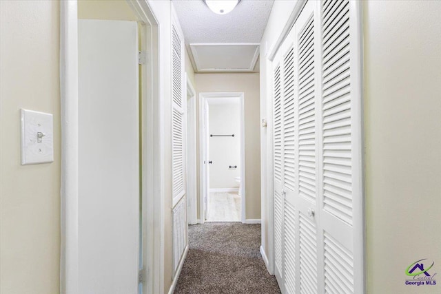 214 Markwood Dr, Warner Robins, GA 31093 - corridor with carpet and baseboards