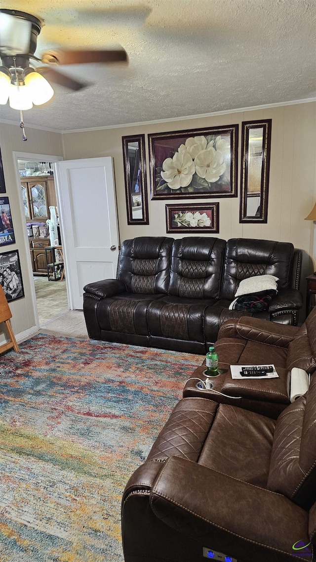 129 Tinker Blvd, Warner Robins, GA 31093 - carpeted living area featuring ornamental molding, a ceiling fan, and a textured ceiling