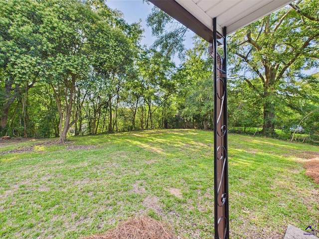 744 Corbin Ave, Macon, GA 31204 - view of green lawn