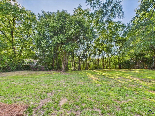 744 Corbin Ave, Macon, GA 31204 - view of grassy yard