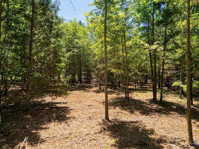 662 Pitts Rd, Elko, GA 31036