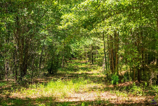 662 Pitts Rd, Elko, GA 31036