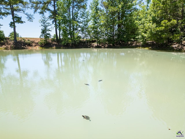 662 Pitts Rd, Elko, GA 31036