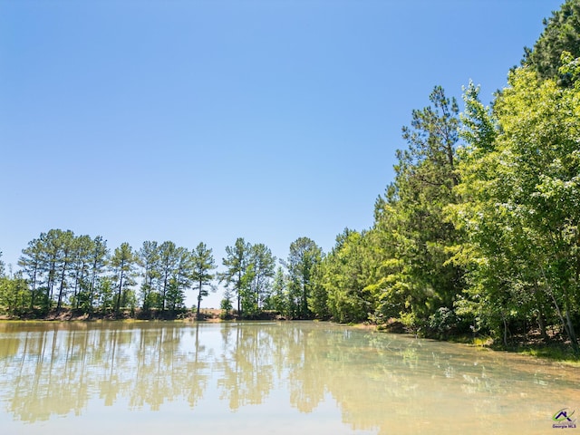662 Pitts Rd, Elko, GA 31036