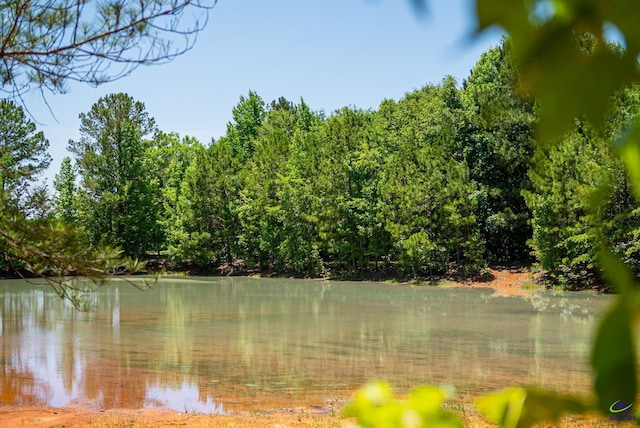 662 Pitts Rd, Elko, GA 31036