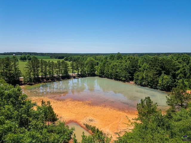 662 Pitts Rd, Elko, GA 31036