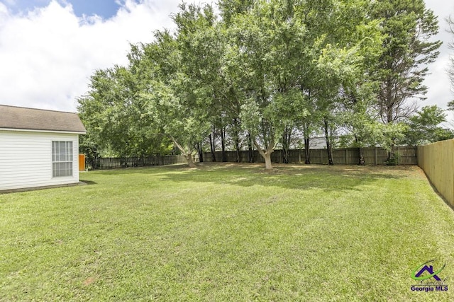 319 Smithville Church Rd, Warner Robins, GA 31088 - view of yard