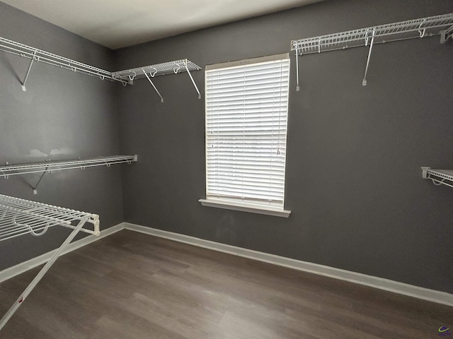 103 Lattice Bnd, Bonaire, GA 31005 - spacious closet with wood finished floors