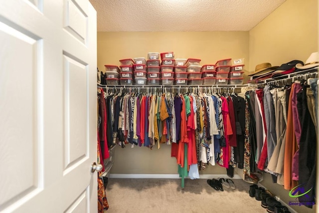 201 Loudon Hill Dr, Warner Robins, GA 31088 - spacious closet with carpet floors