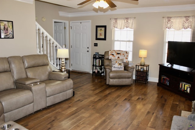 303 Shane, Perry, GA 31069 - living room featuring a ceiling fan, crown molding, stairs, hardwood / wood-style flooring, and baseboards