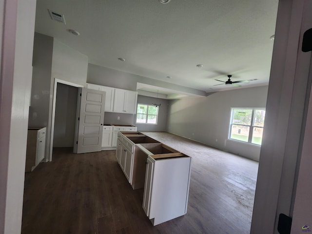109 Silver Maple Ct, Byron, GA 31008 - kitchen featuring ceiling fan, dark wood-type flooring, plenty of natural light, and white cabinets