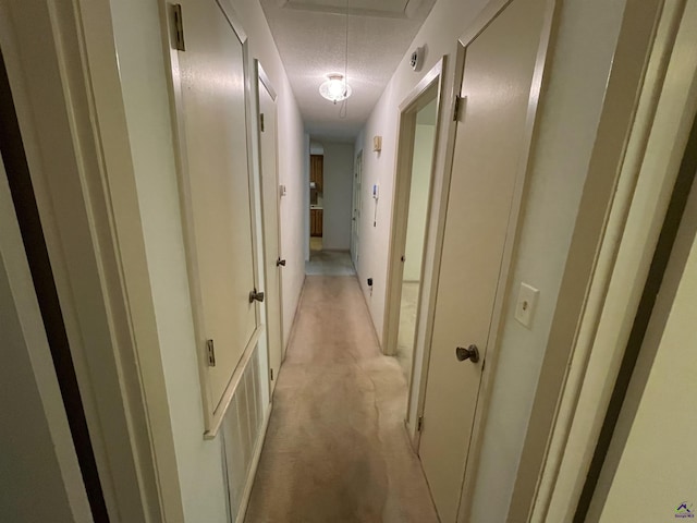 122 Cheryl Blvd, Warner Robins, GA 31088 - hallway with attic access, light colored carpet, and a textured ceiling