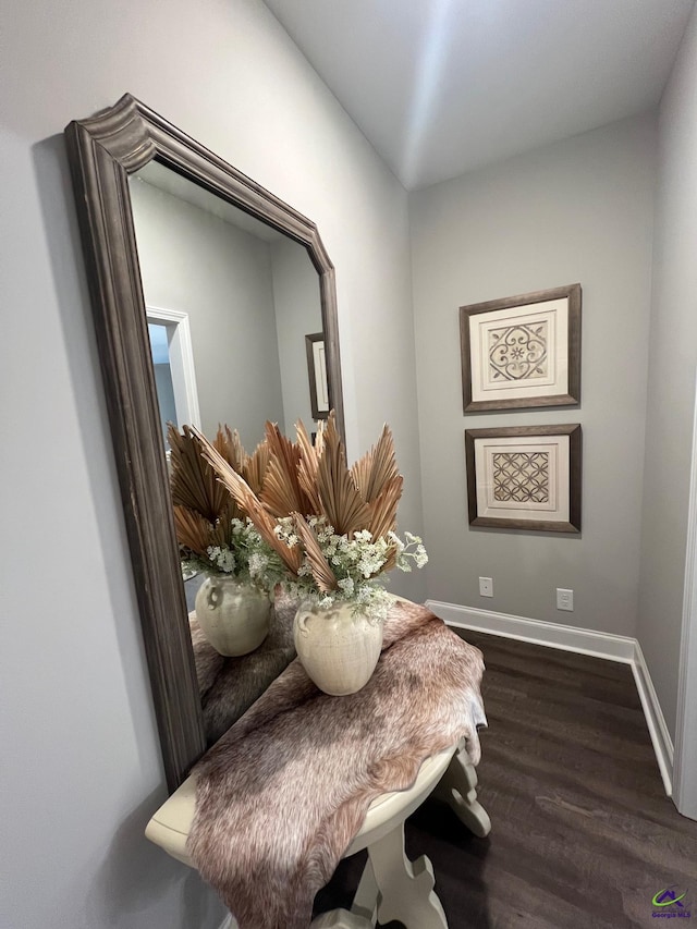 508 Nandina Ct, Warner Robins, GA 31088 - detailed view of wood finished floors and baseboards