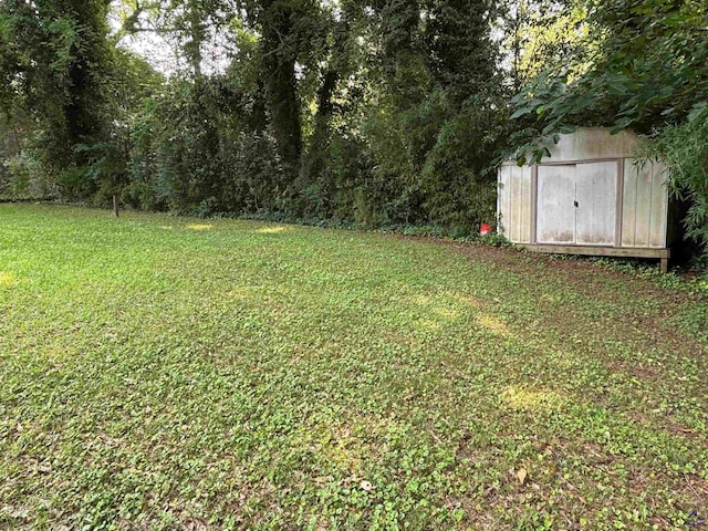 867 S Forest Lake Dr, Macon, GA 31201 - view of green lawn