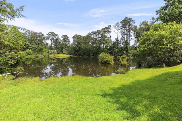 518 College St, Montezuma, GA 31063 - water view with a heavily wooded area