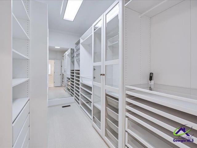 113 Troon Way, Macon, GA 31210 - spacious closet featuring carpet