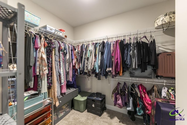 107 Field View Ln, Kathleen, GA 31047 - spacious closet featuring carpet