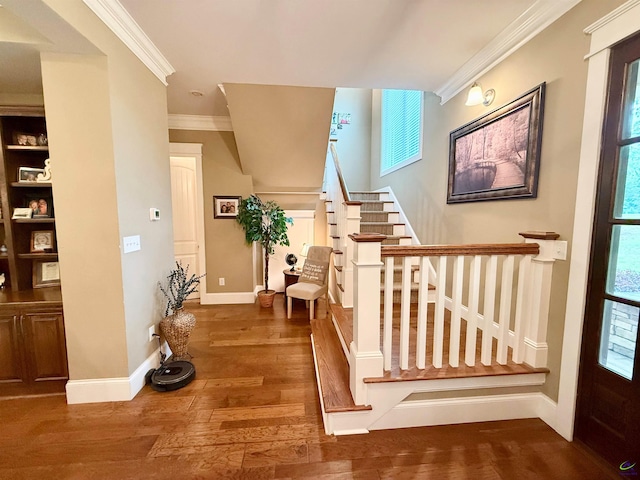 183 Terrell Rd, Elko, GA 31025 - stairs featuring crown molding, hardwood / wood-style flooring, and baseboards