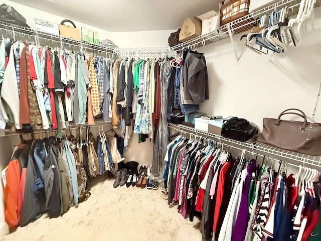183 Terrell Rd, Elko, GA 31025 - walk in closet featuring carpet floors