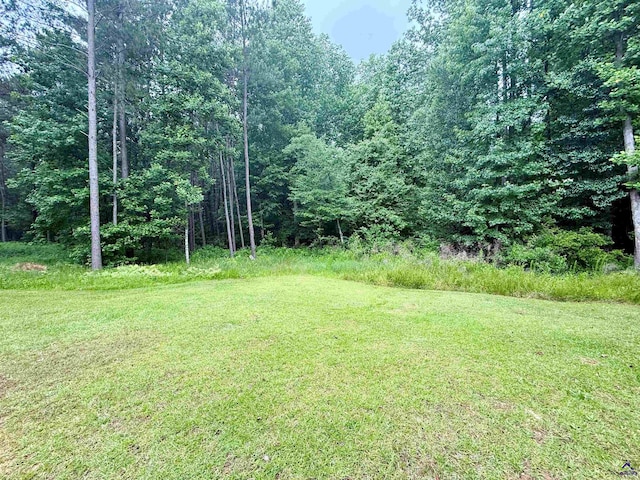 183 Terrell Rd, Elko, GA 31025 - view of green lawn with a forest view