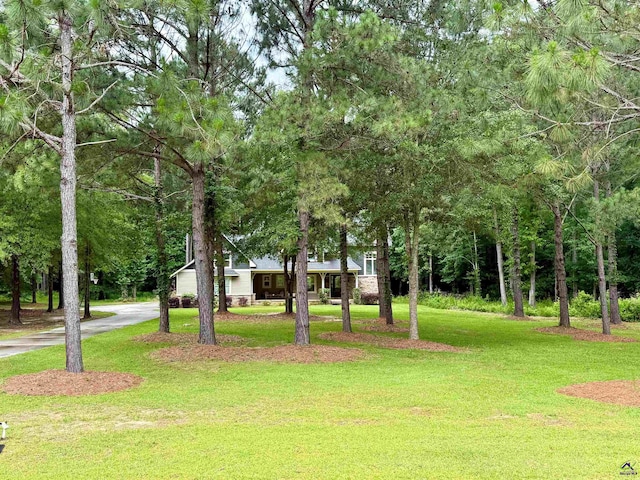 183 Terrell Rd, Elko, GA 31025 - view of grassy yard with driveway