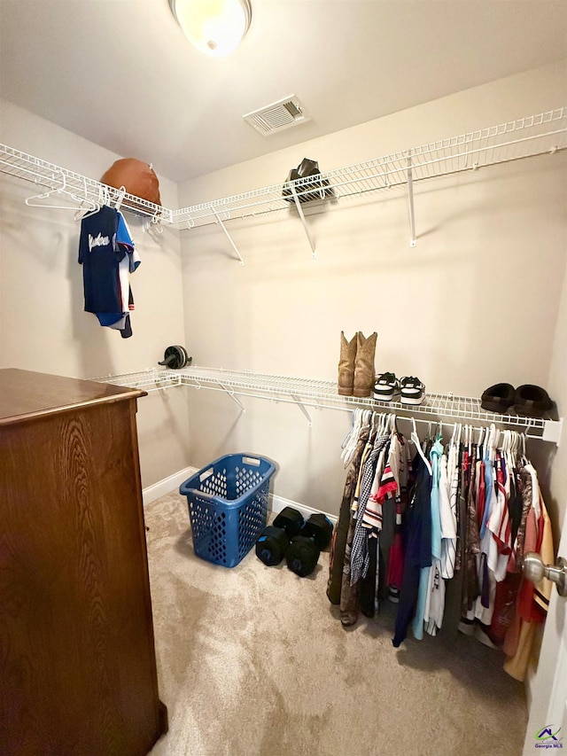 183 Terrell Rd, Elko, GA 31025 - spacious closet with carpet