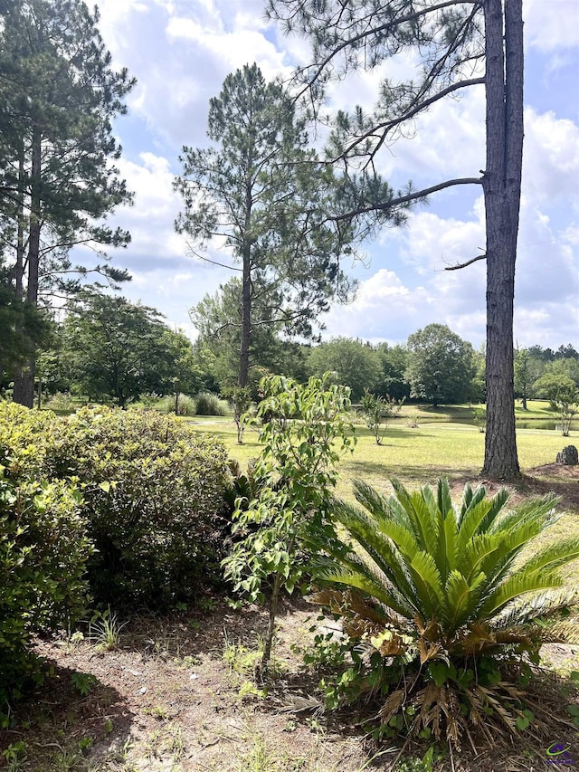 2019 Scharie Ln, Rentz, GA 31075 - view of yard