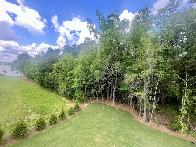 225 Shoreline Way, Macon, GA 31220 - view of green lawn